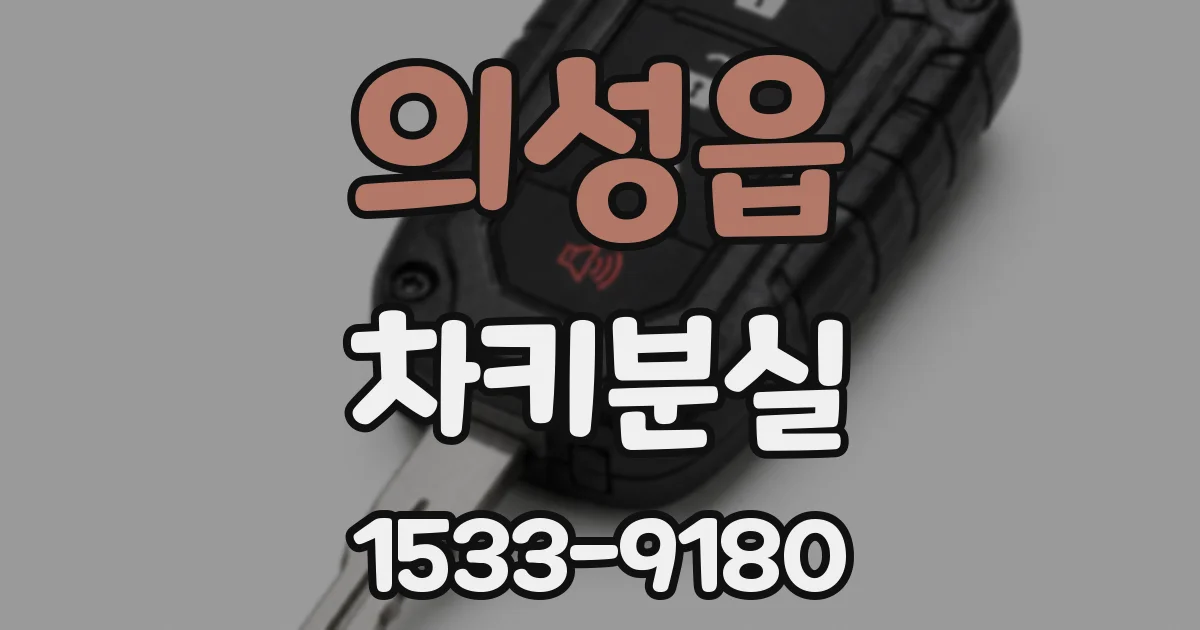 의성읍 차키분실