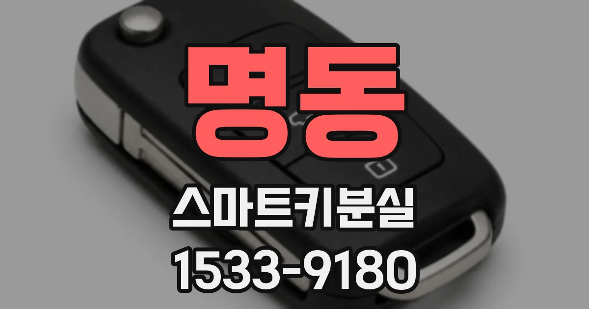 명동 스마트키분실