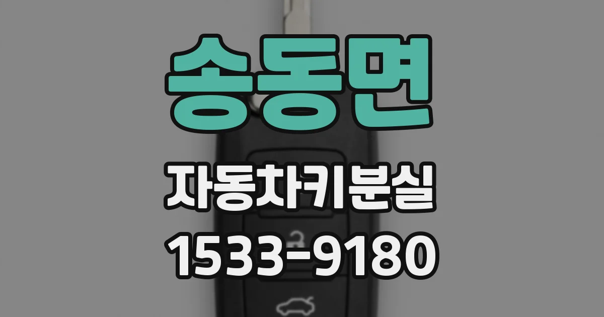 송동면 자동차키분실