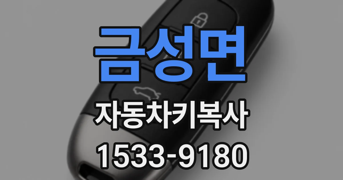 금성면 자동차키복사