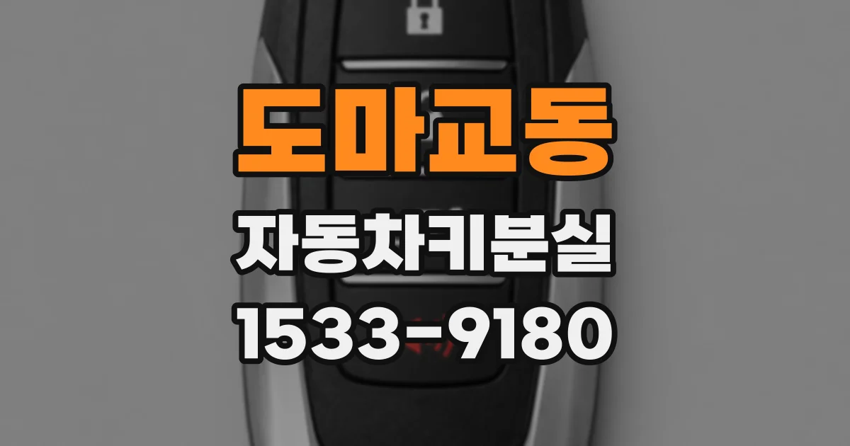 도마교동 자동차키분실