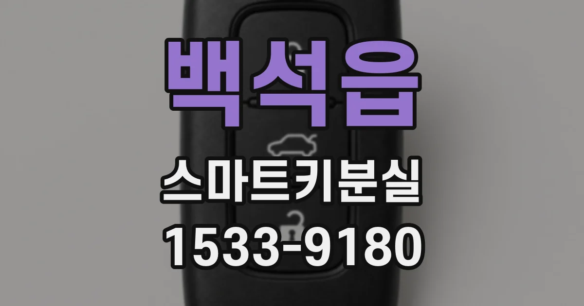 백석읍 스마트키분실