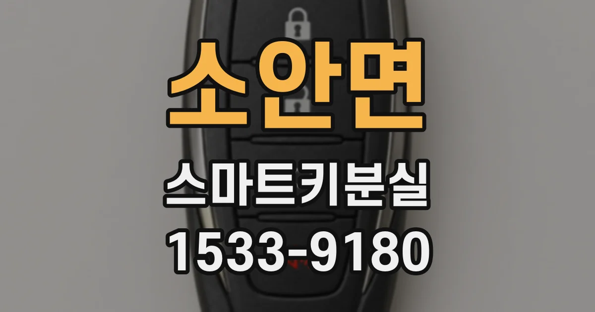 소안면 스마트키분실