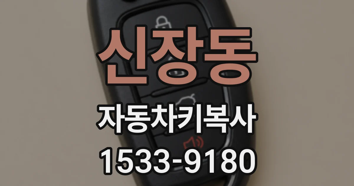 신장동 자동차키복사