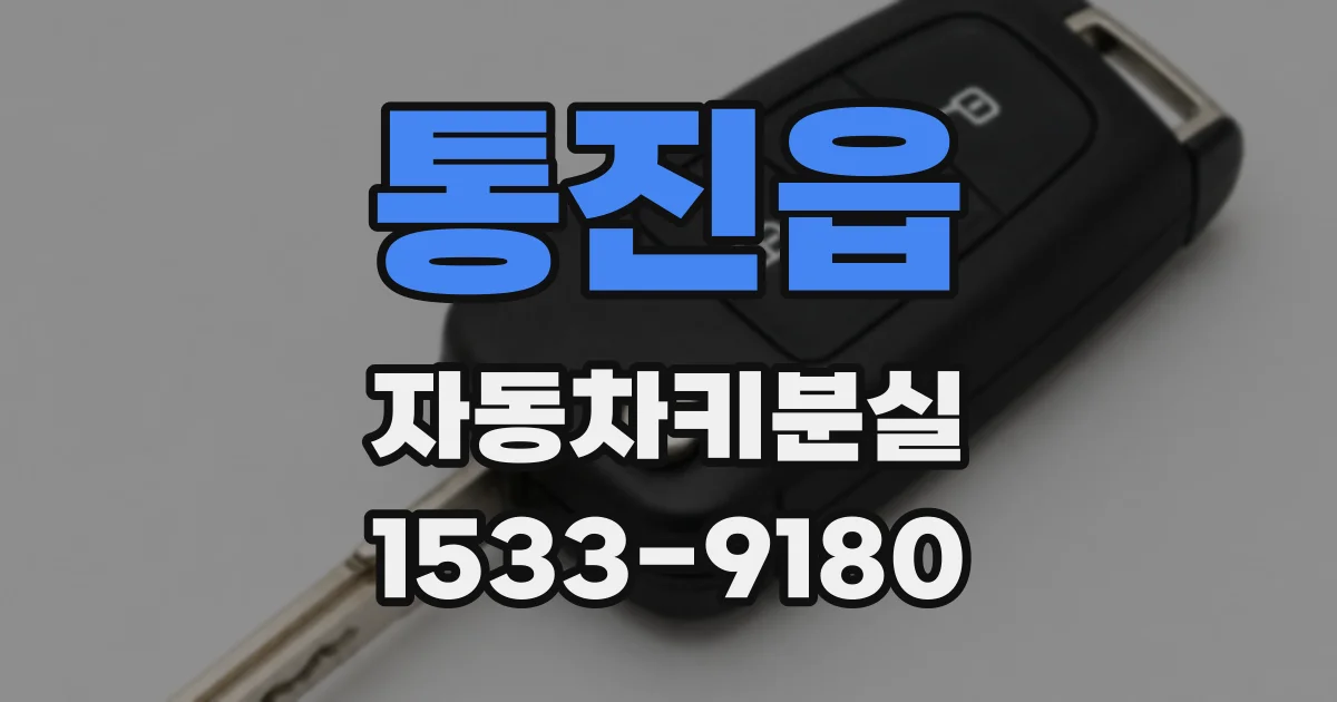 통진읍 자동차키분실