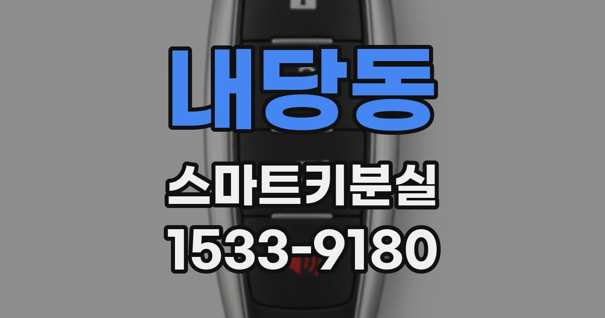 내당동 스마트키분실