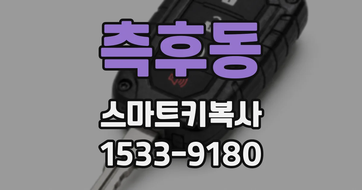 측후동 스마트키복사