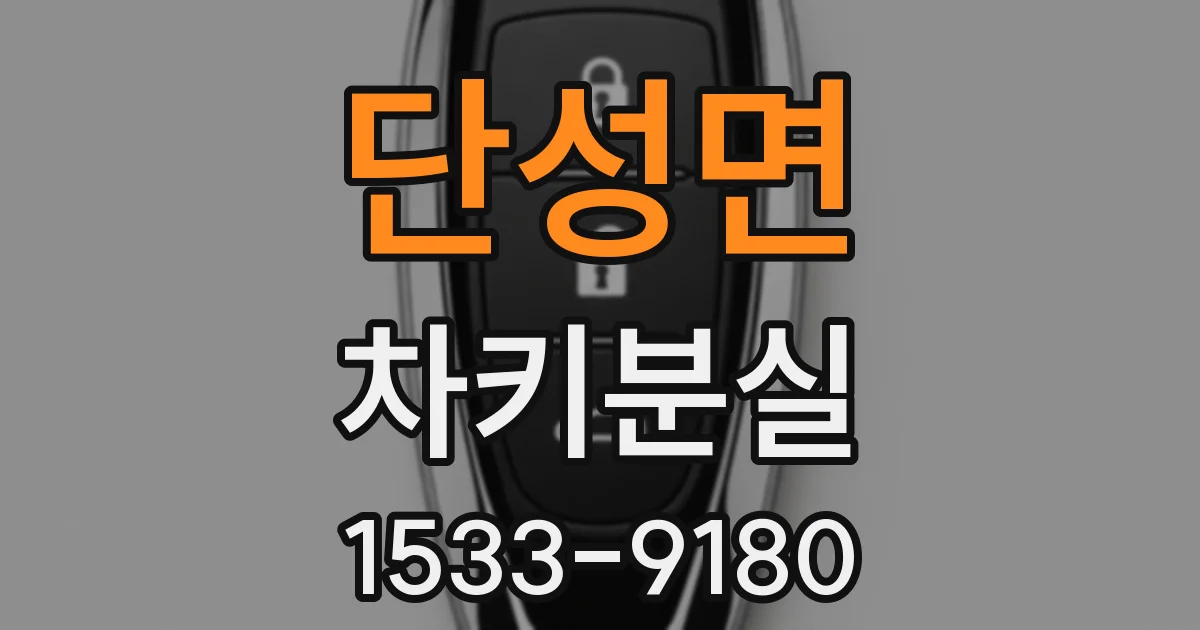 단성면 차키분실