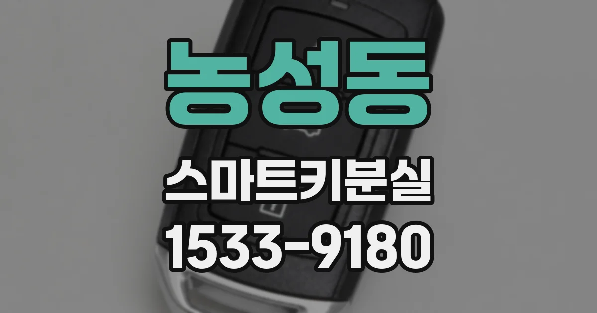 농성동 스마트키분실