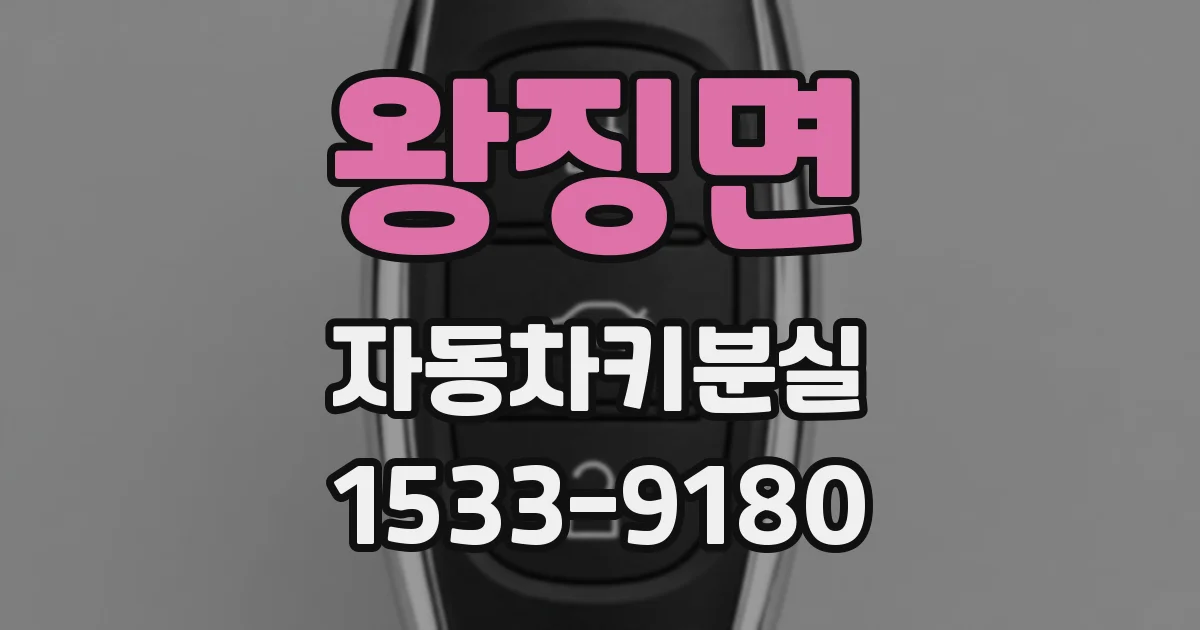 왕징면 자동차키분실
