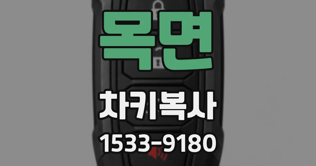 목면 차키복사