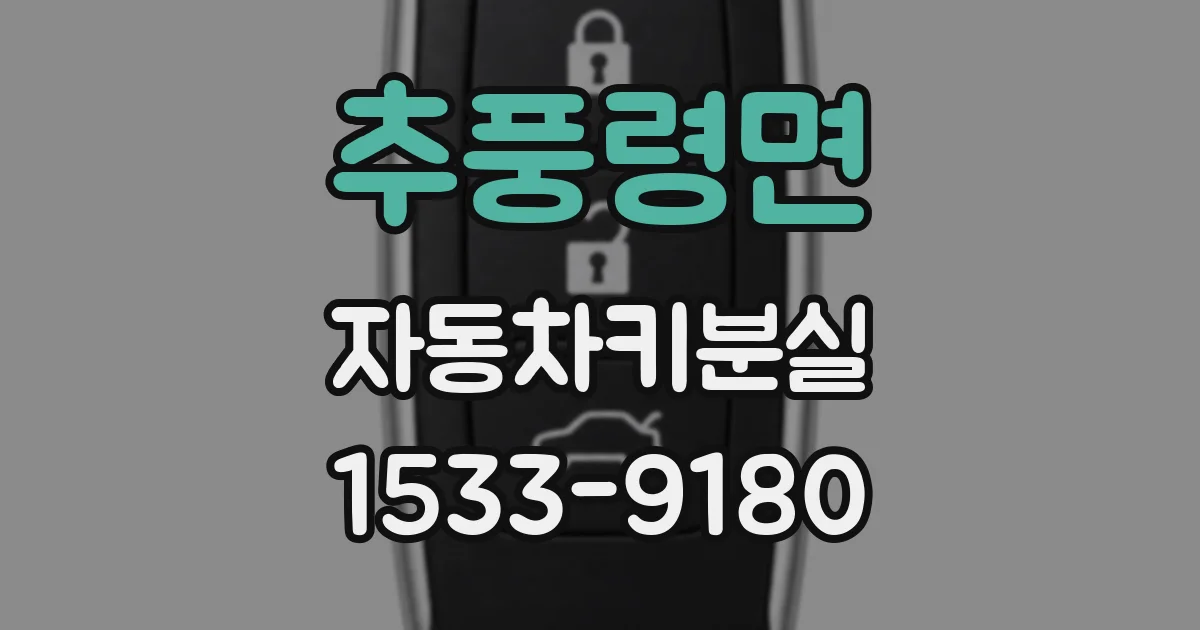 추풍령면 자동차키분실