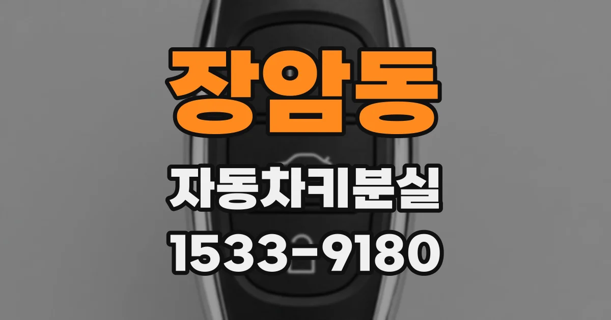 장암동 자동차키분실