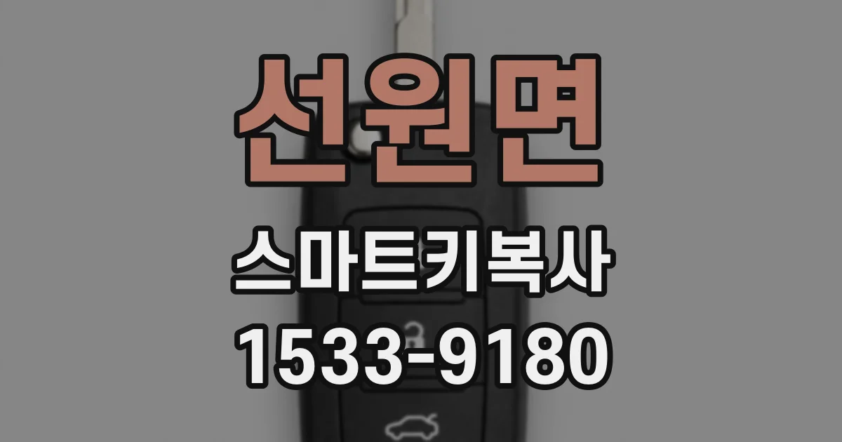 선원면 스마트키복사
