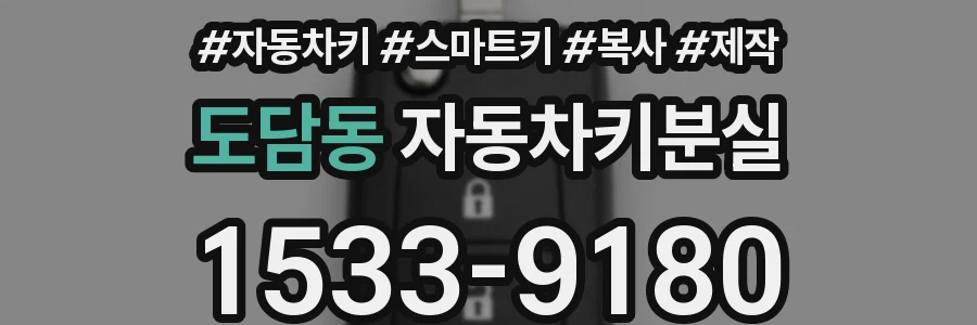 도담동 자동차키분실