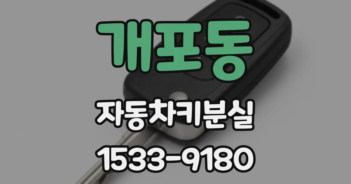 개포동 자동차키분실