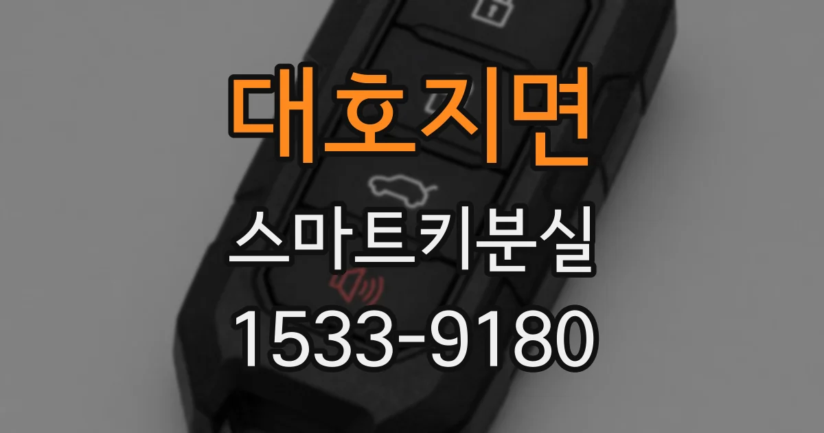대호지면 스마트키분실