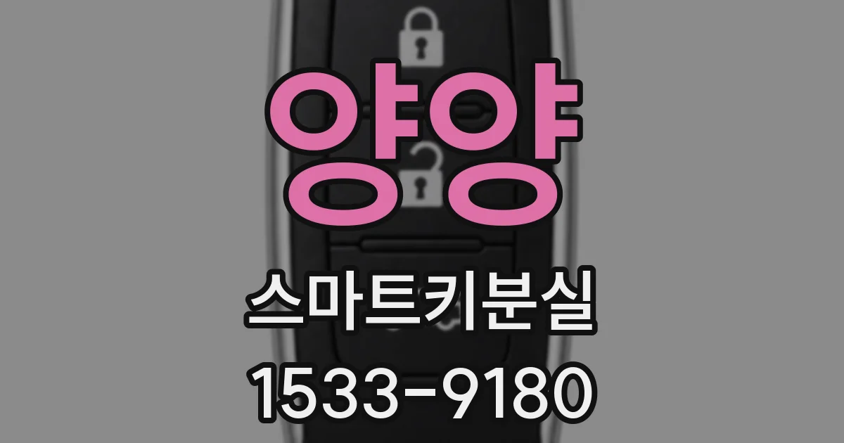 양양 스마트키분실