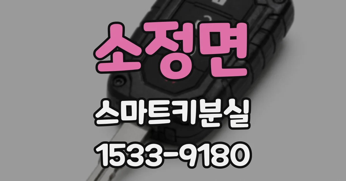 소정면 스마트키분실
