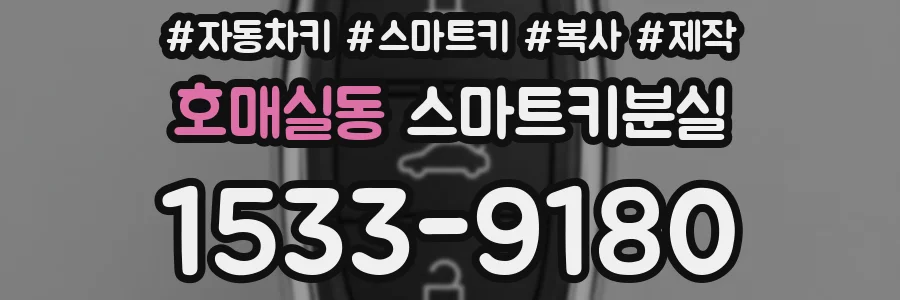 호매실동 스마트키분실