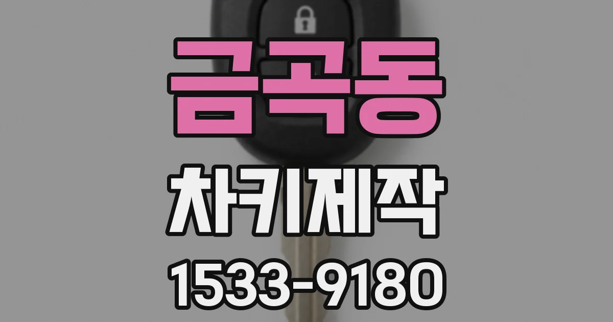 금곡동 차키제작