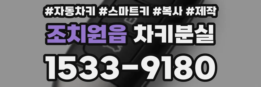 조치원읍 차키분실