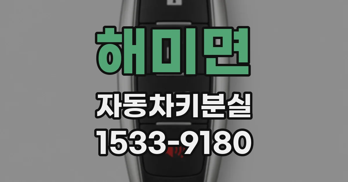 해미면 자동차키분실