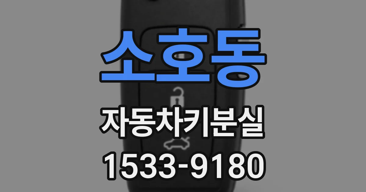 소호동 자동차키분실