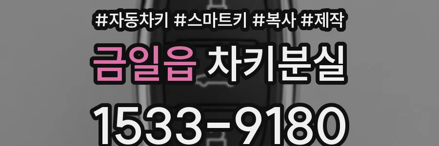 금일읍 차키분실