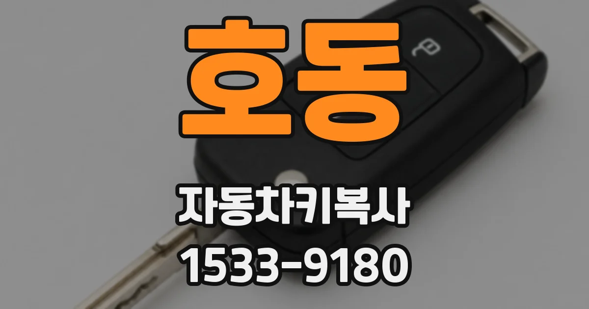 호동 자동차키복사
