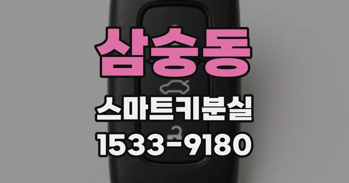 삼숭동 스마트키분실