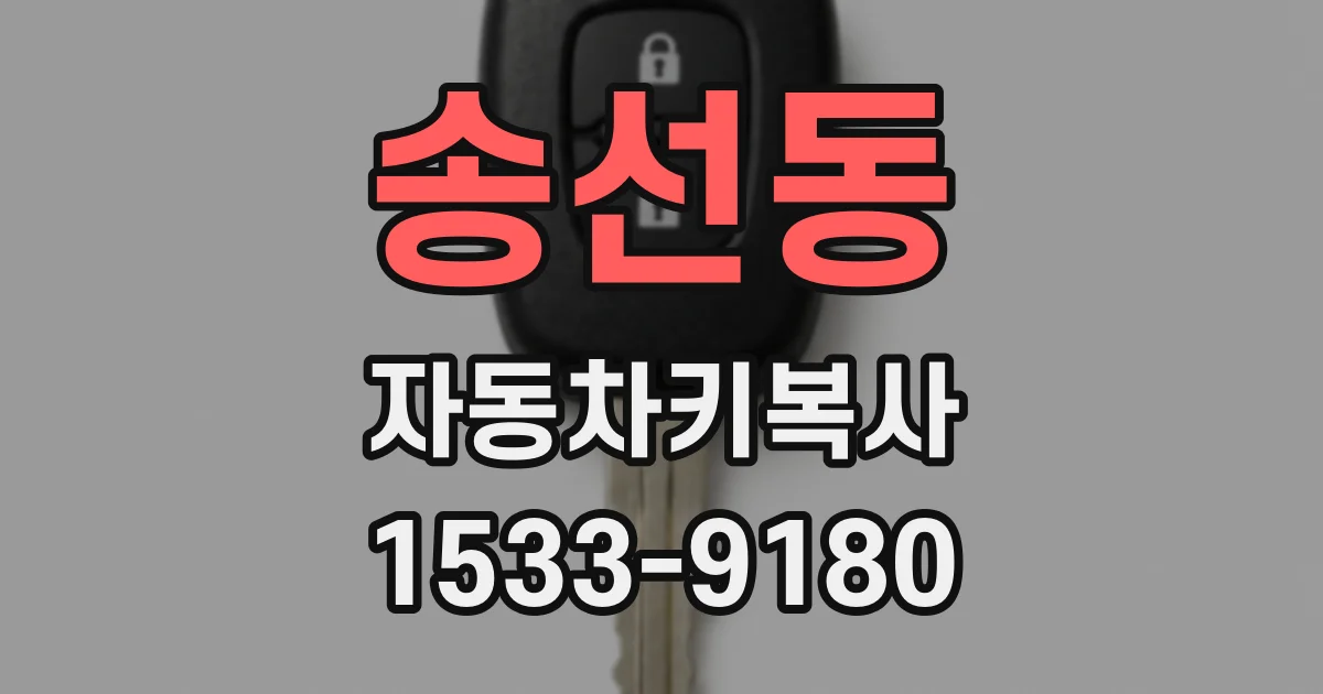 송선동 자동차키복사