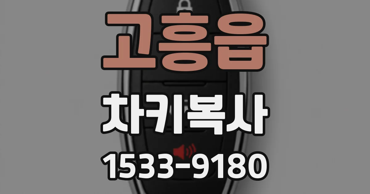 고흥읍 차키복사