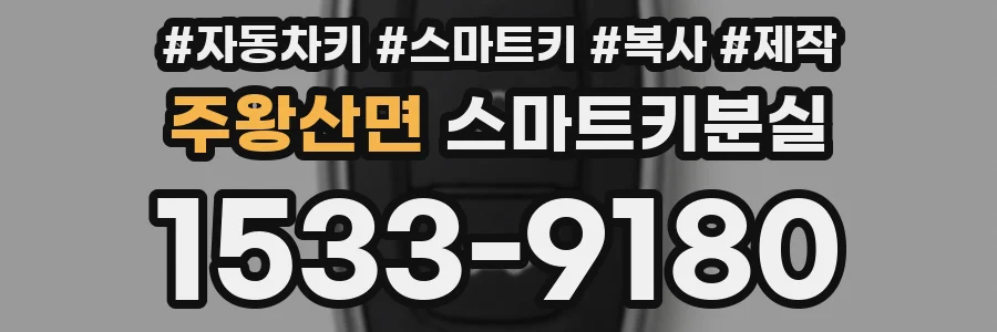 주왕산면 스마트키분실