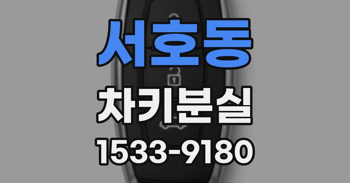 서호동 차키분실