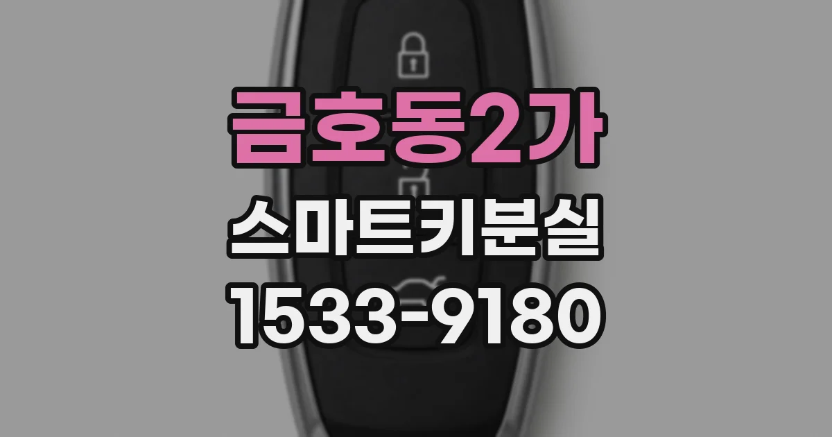 금호동2가 스마트키분실