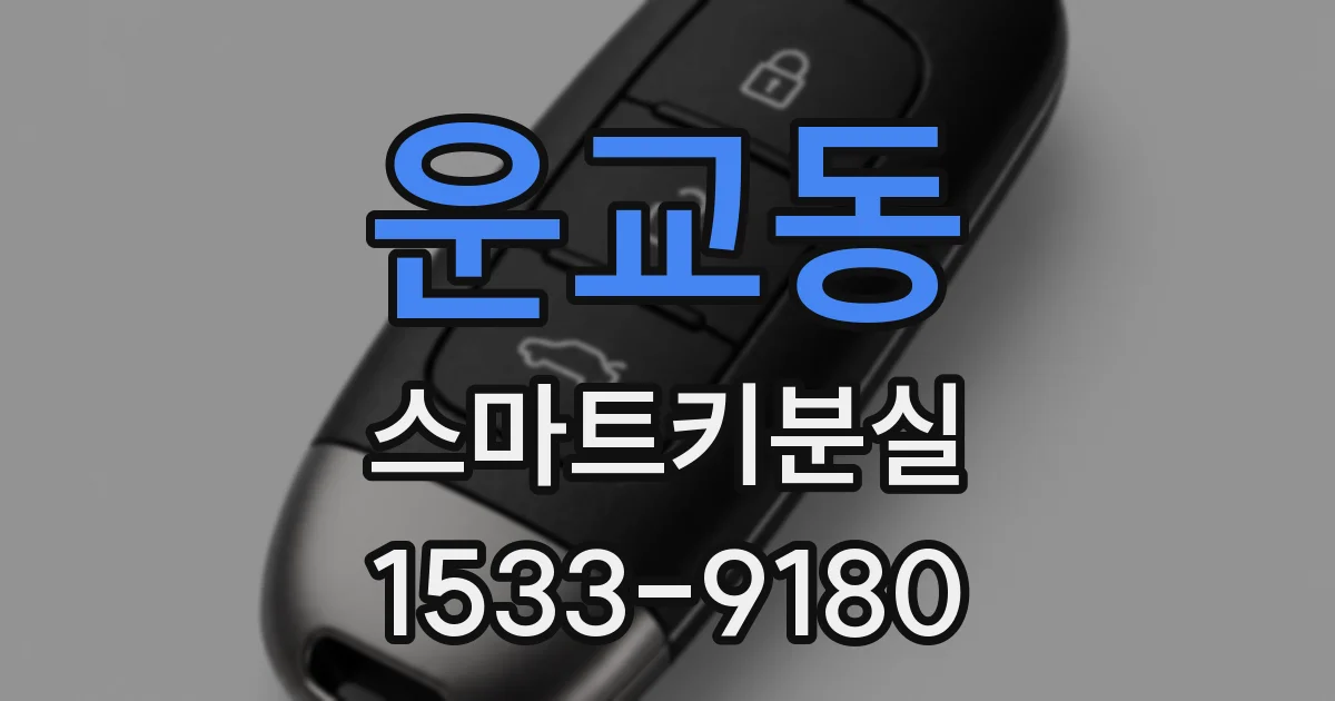 운교동 스마트키분실