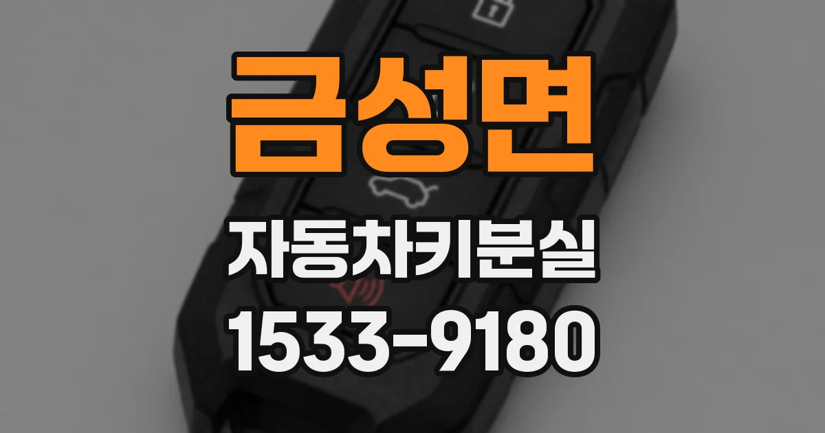 금성면 자동차키분실