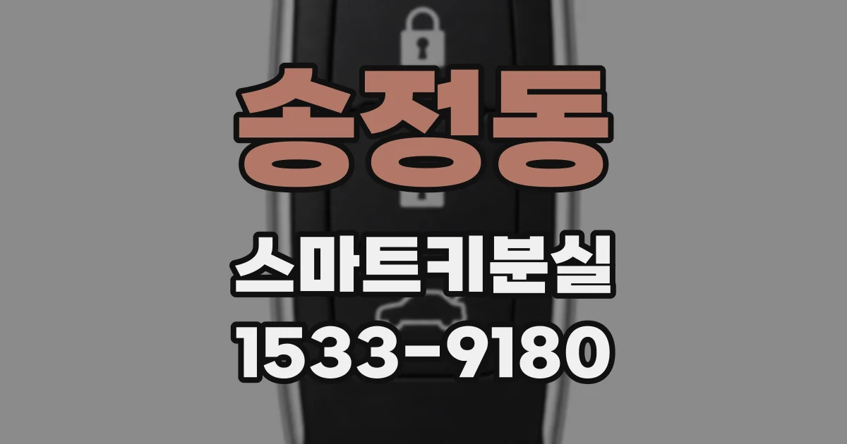 송정동 스마트키분실
