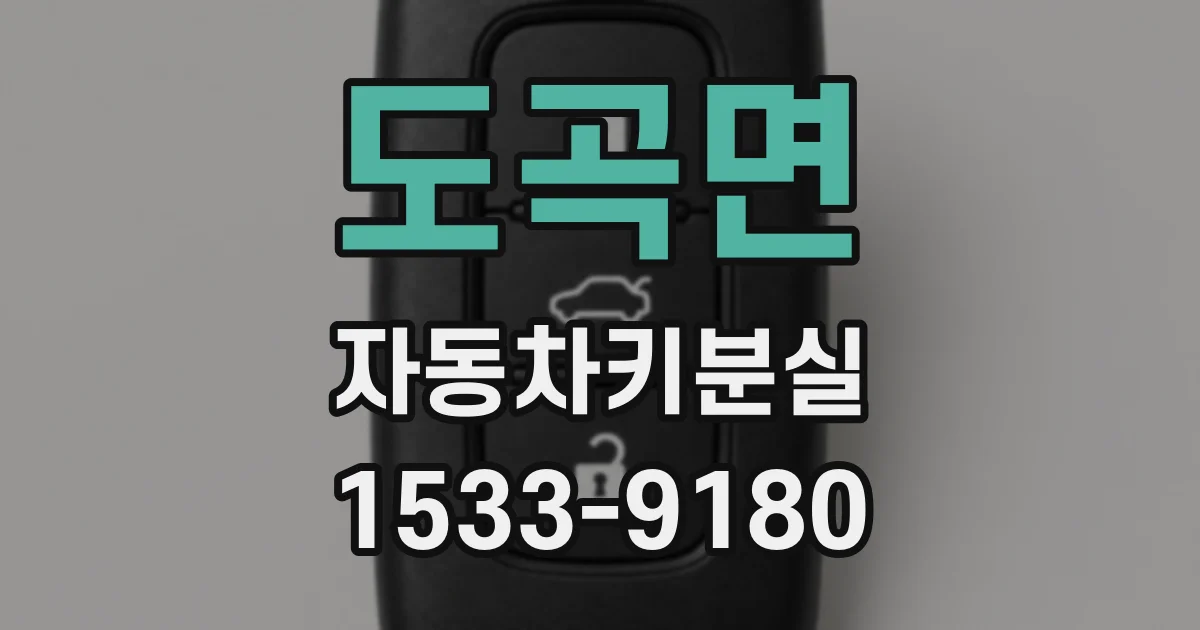 도곡면 자동차키분실