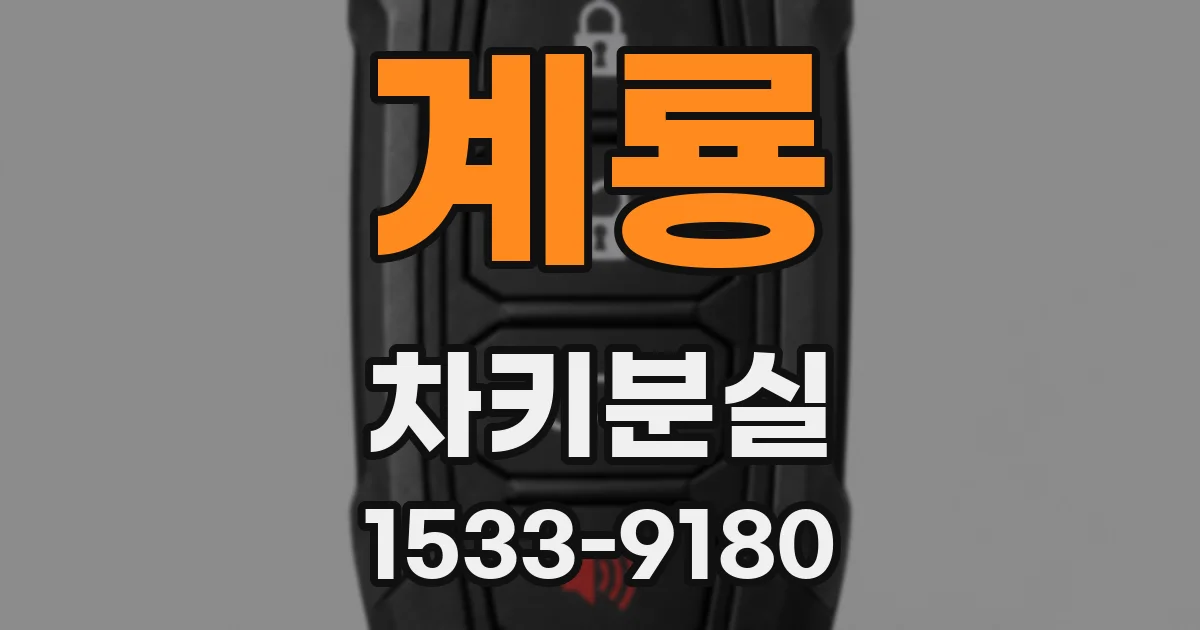 계룡 차키분실