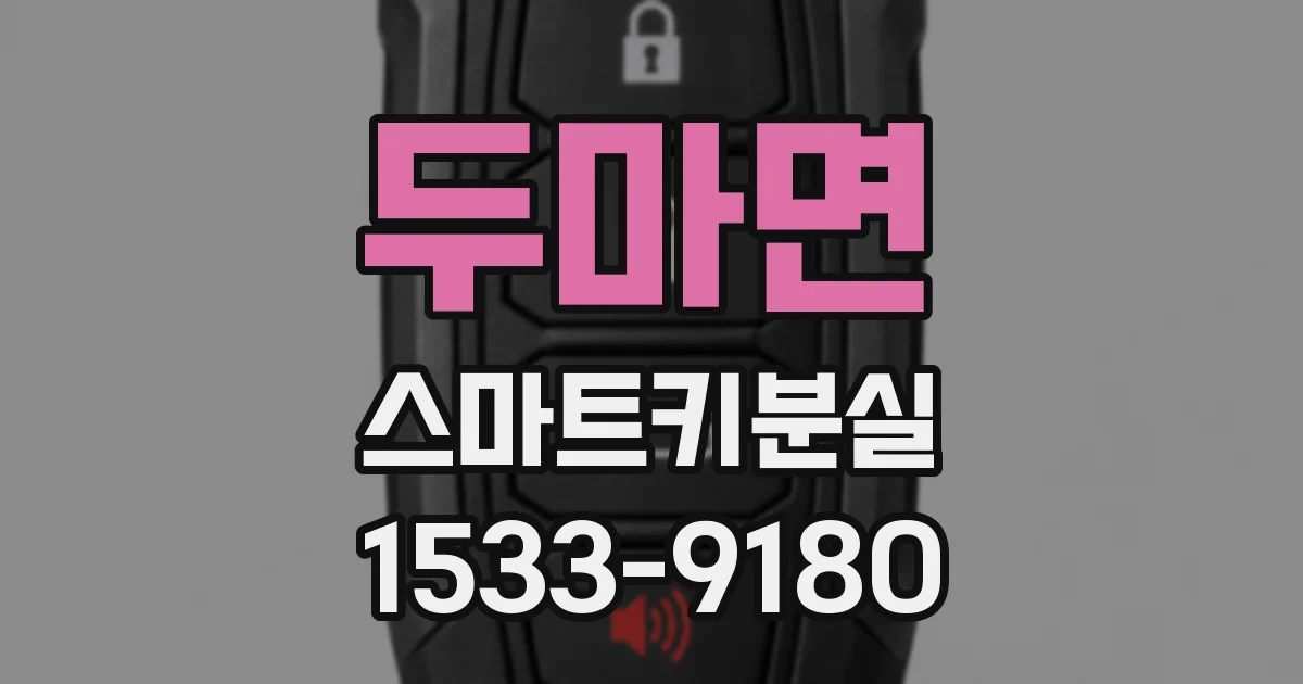 두마면 스마트키분실