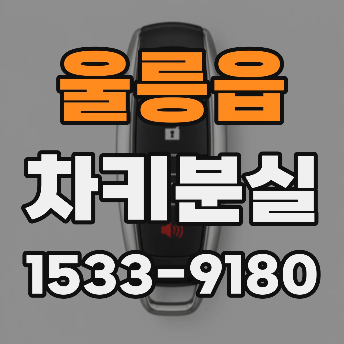 울릉읍 차키분실