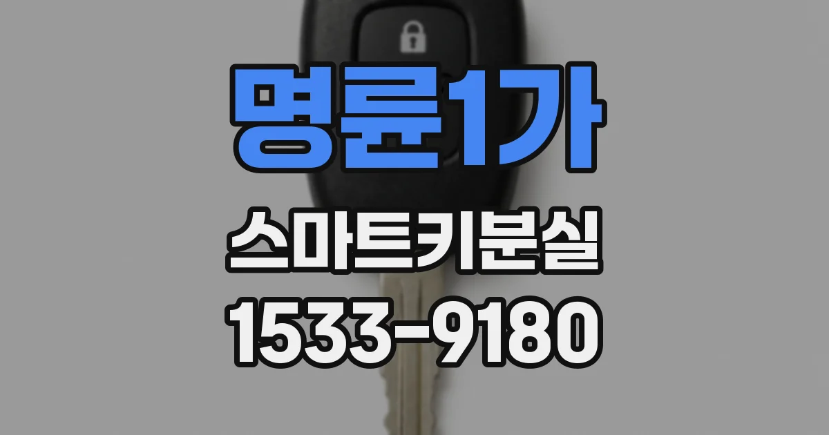 명륜1가 스마트키분실