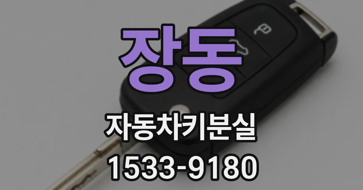 장동 자동차키분실