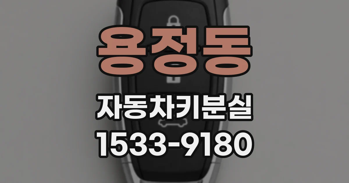 용정동 자동차키분실