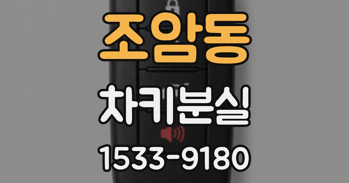 조암동 차키분실