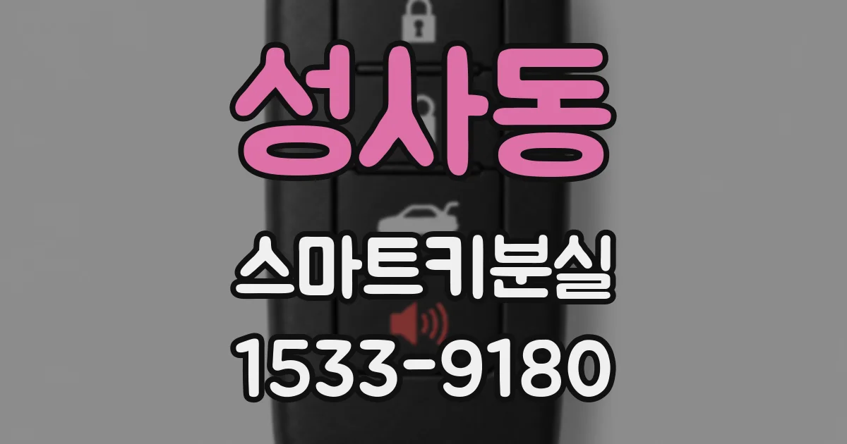 성사동 스마트키분실