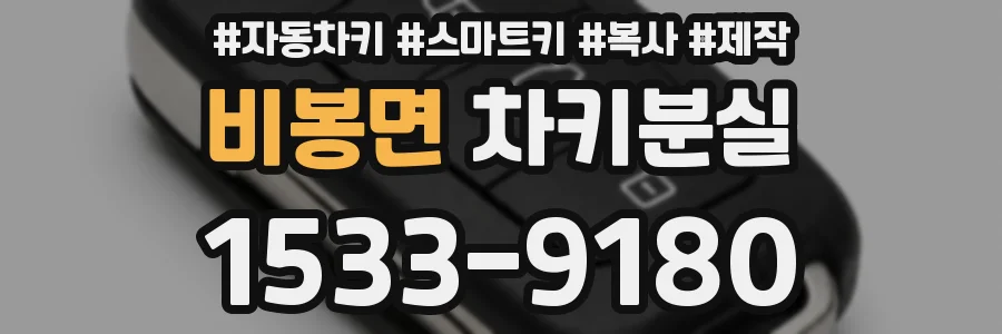비봉면 차키분실