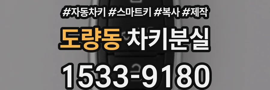 도량동 차키분실